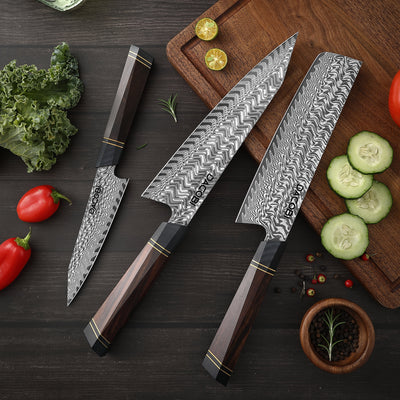Colecția Rin, Cuțite profesionale, oțel damasc 67 straturi