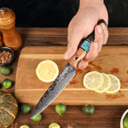 Cuțit universal cu mâner de arțar stabilizat, oțel damasc, 12.8 cm (C70)