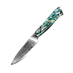 Set de cuțite profesionale, oțel de damasc, D10 - DACOBI.ro