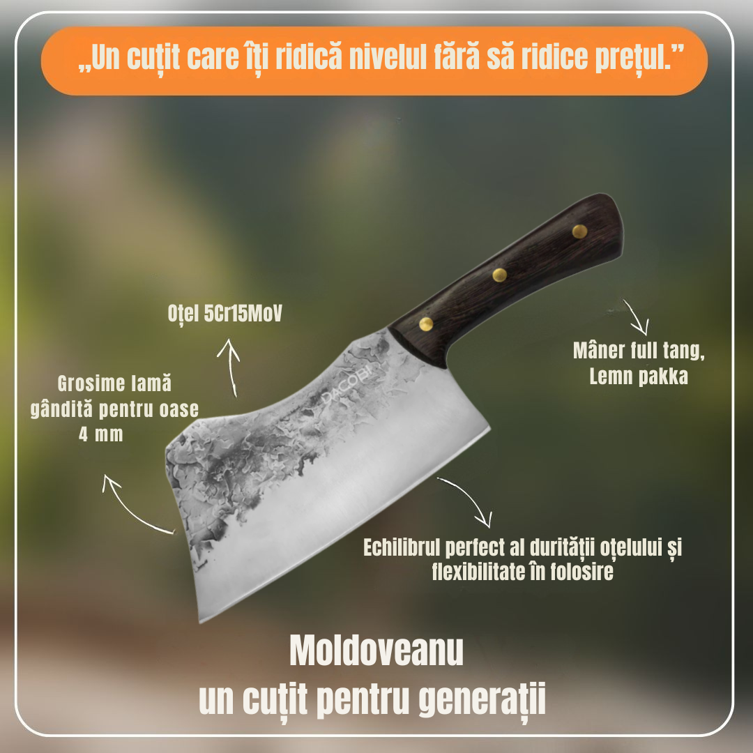 Moldoveanu - Satâr oase, oțel inoxidabil, mâner lemn, 18 cm