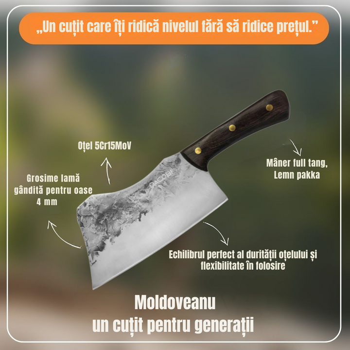 Moldoveanu - Satâr oase, oțel inoxidabil, mâner lemn, 18 cm